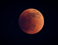 Totale Maansverduistering 7 september 2025