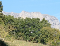 Waarneemreis 2008 : Le Castellard