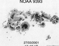 Noaa 9393, de tweede grootste groep van SC23 met een oppervlakte van 2440 MH