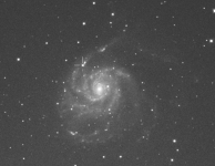 Heldere Supernova in Messier 101