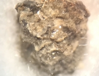 Meteorieten en tektieten onder microscoop